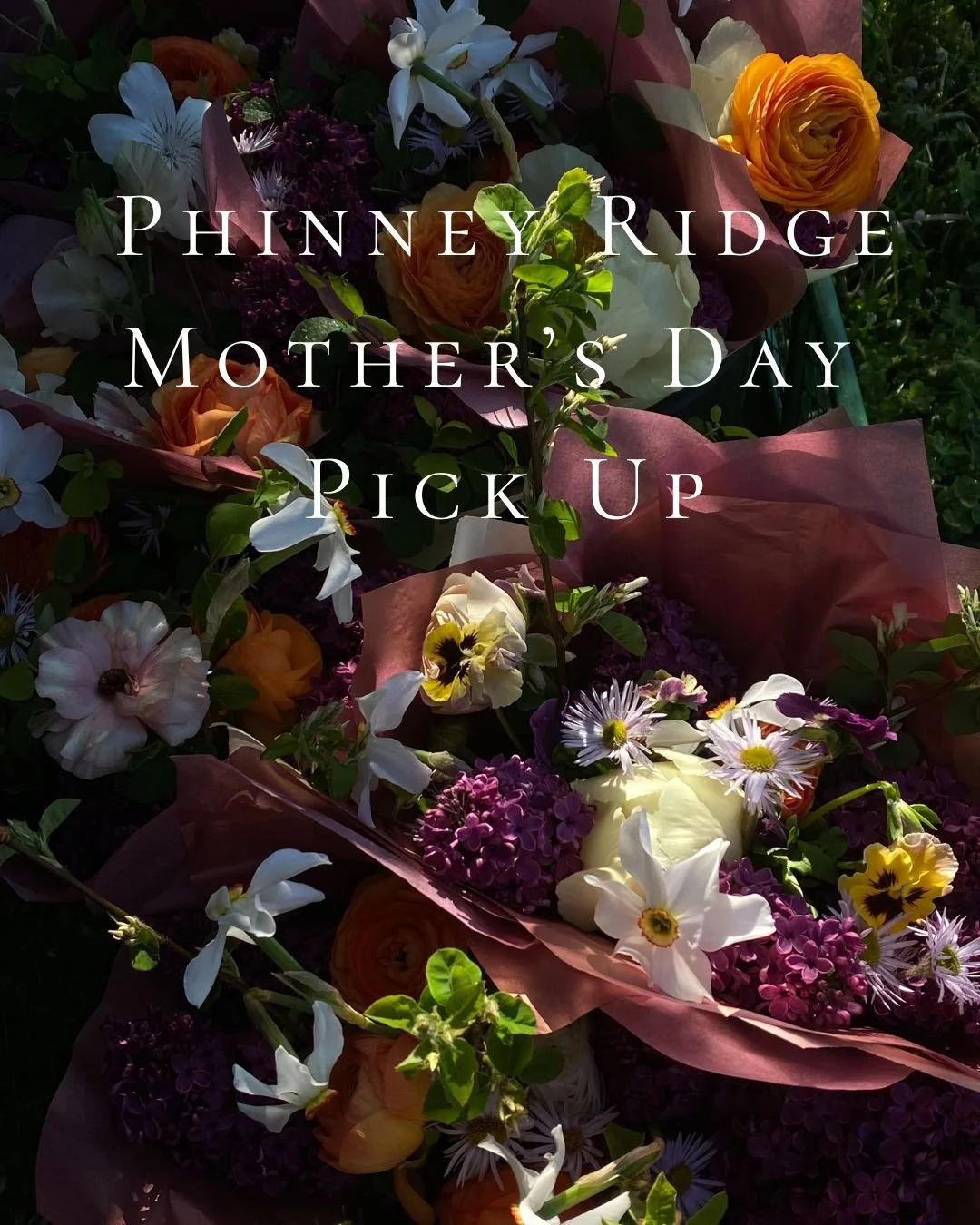 Port Townsend Mother’s Day Delivery.jpg