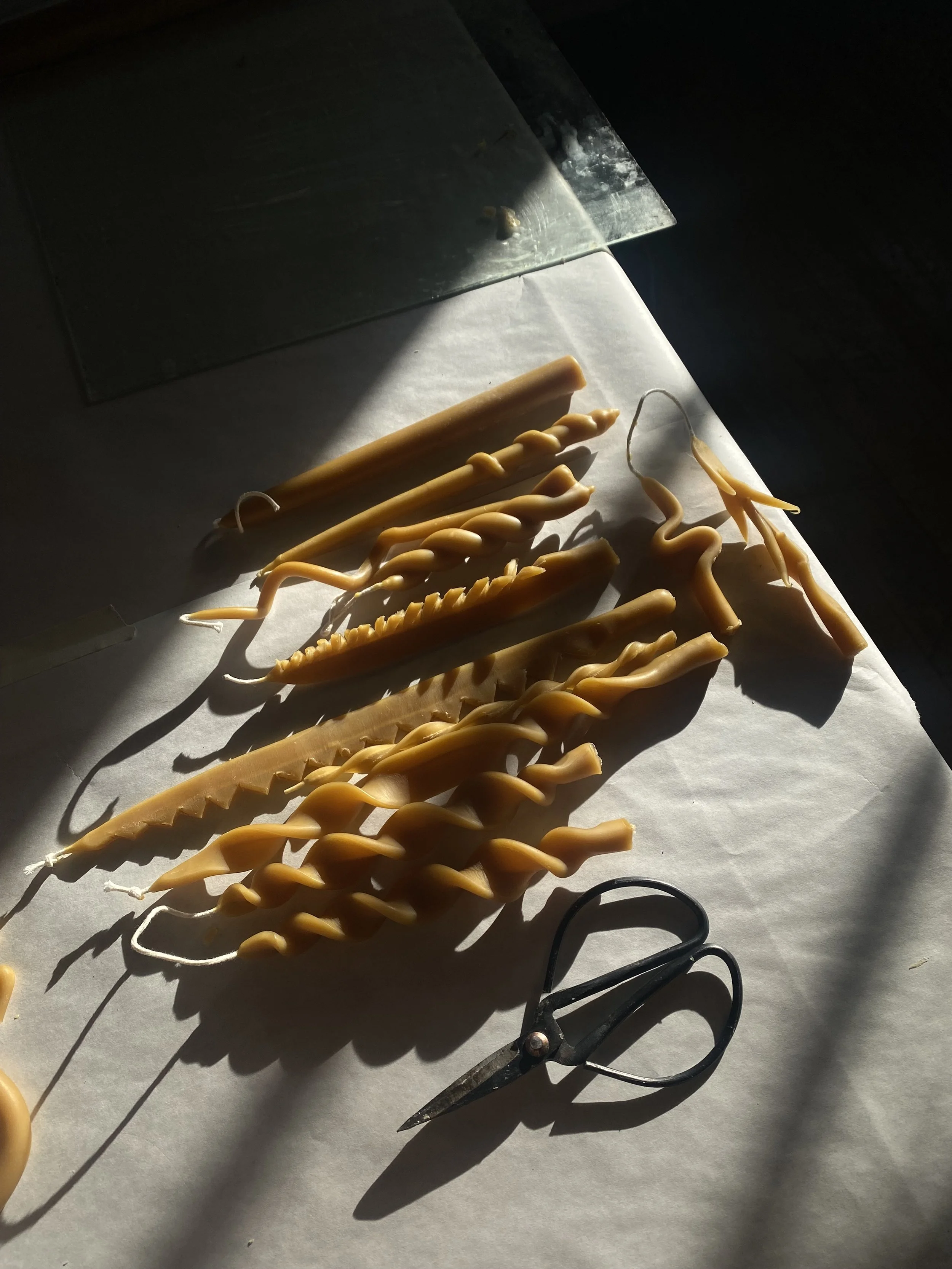 IMG_7279.jpeg
