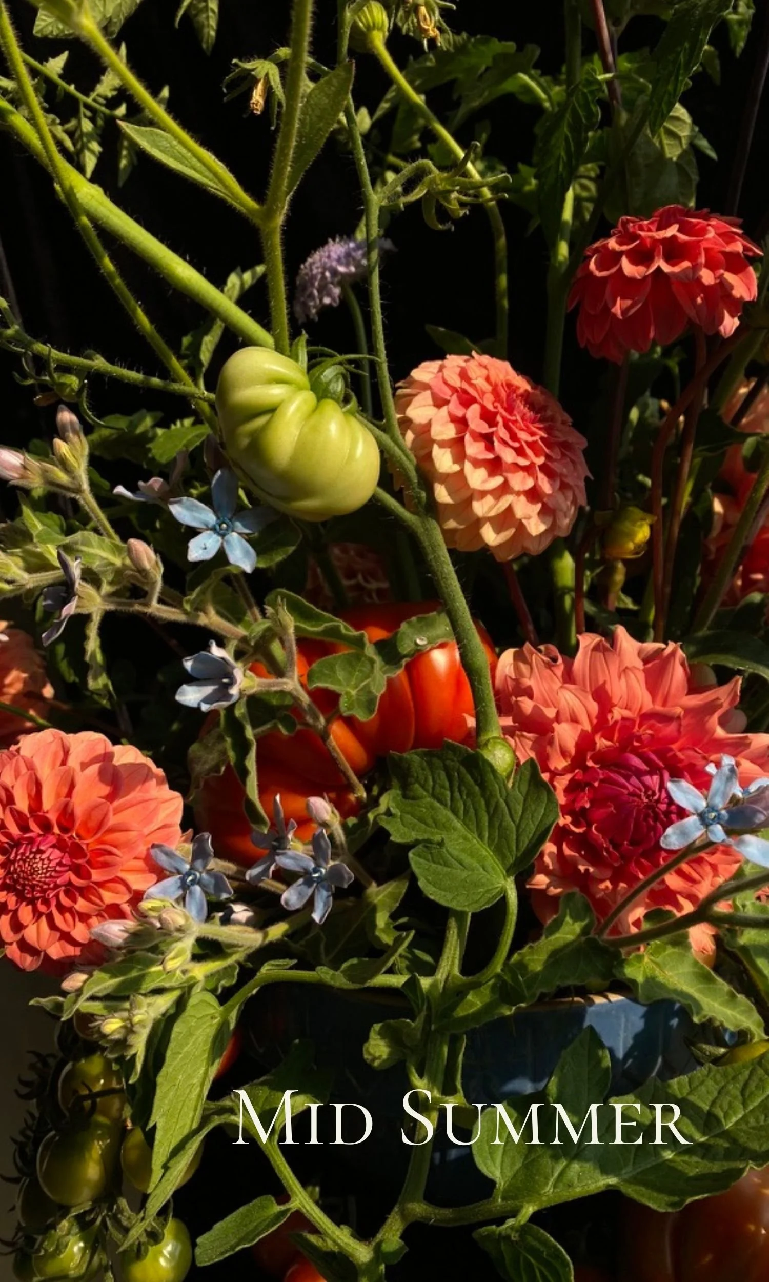 Untitled (1500 x 2500 px) (5).jpg