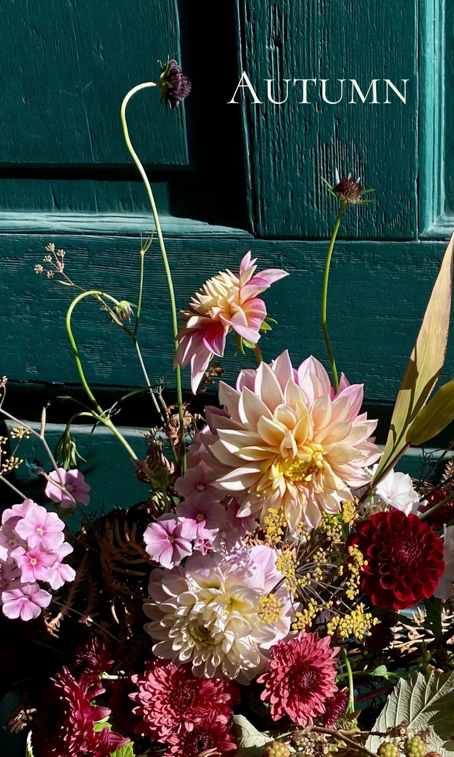 Untitled (1500 x 2500 px) (6).jpg