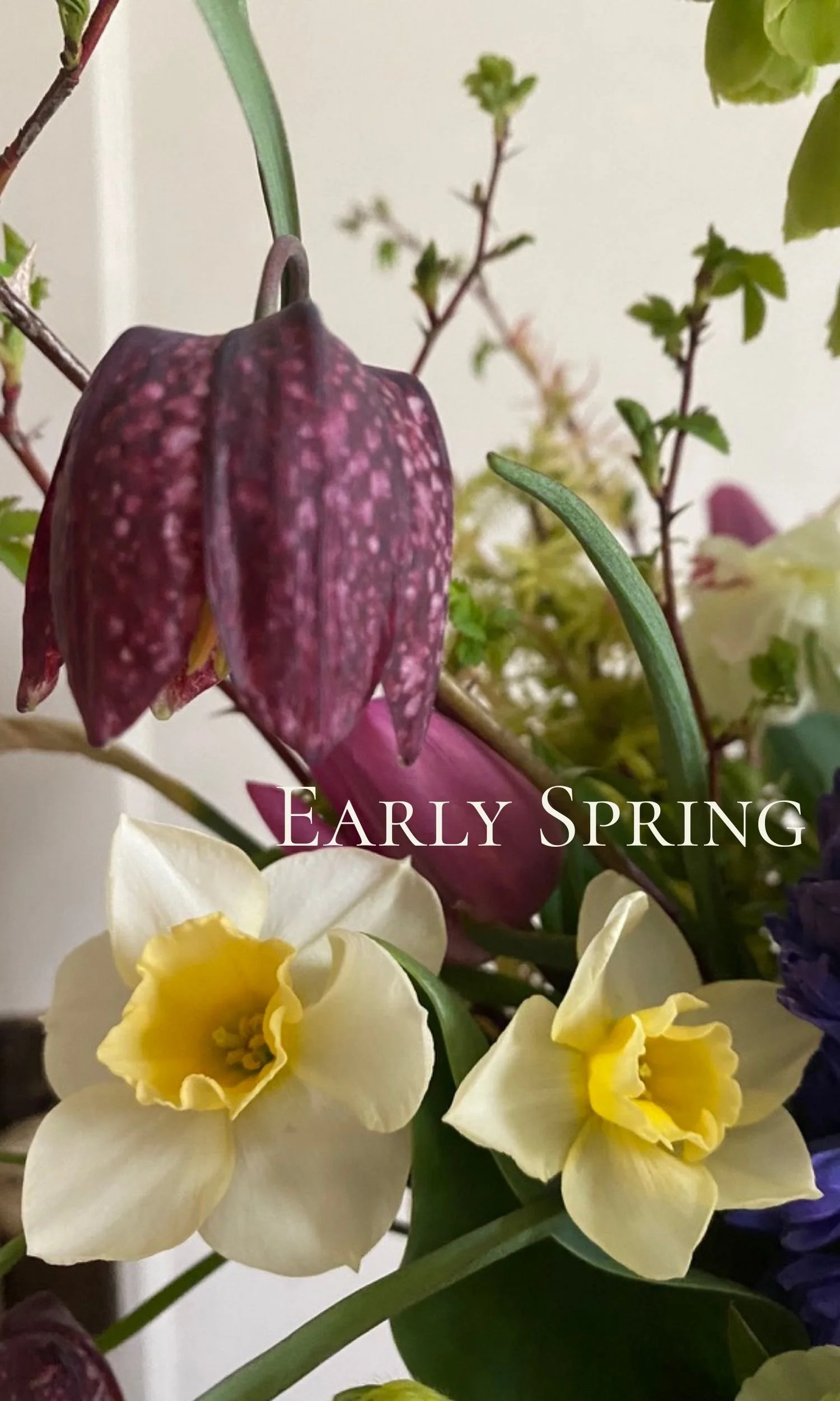 Untitled (1500 x 2500 px).jpg