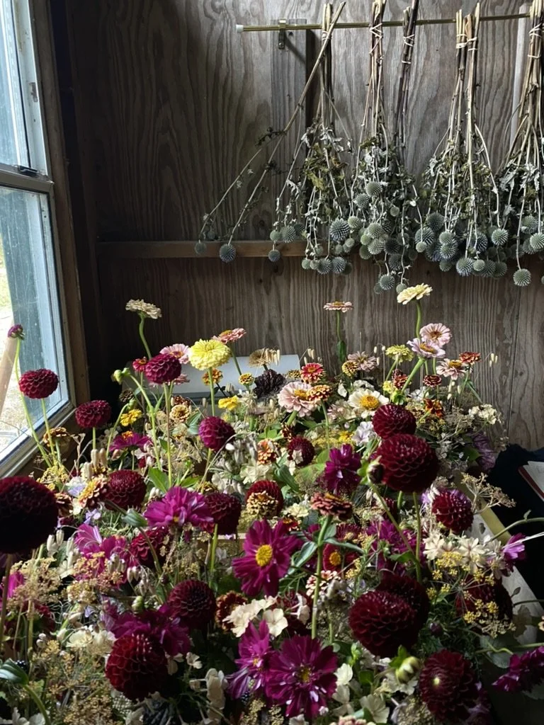 A window sill with a large bouquet of colorful flowers and dried flowers hanging on the wooden wall behind.