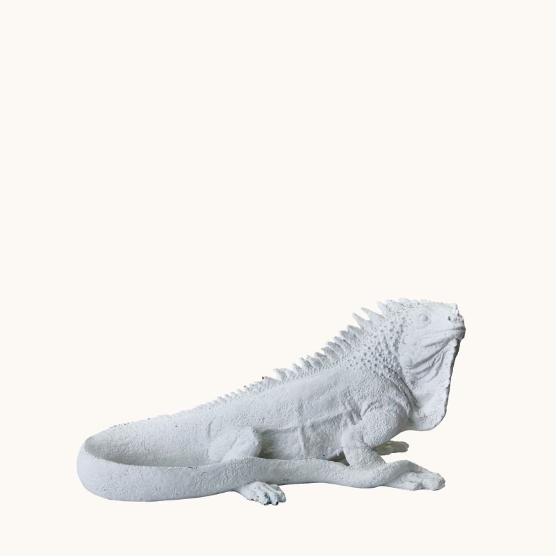 White Lizard