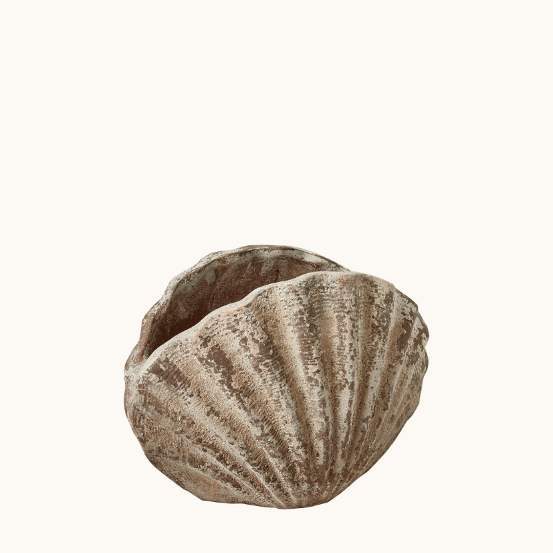 Terracotta Shell