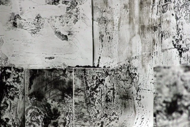 Terroir Series