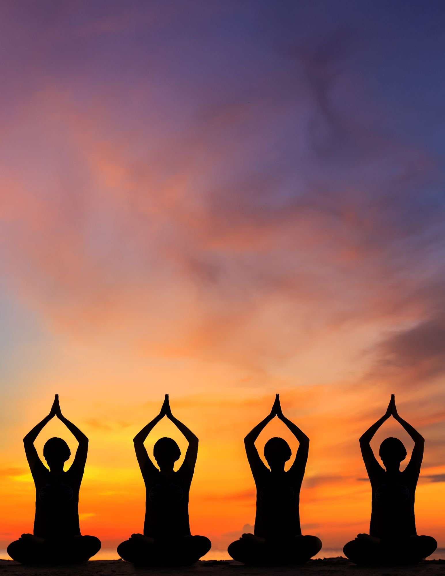 Spring Renewal with Uyen Nguyen of Lotus Love Works