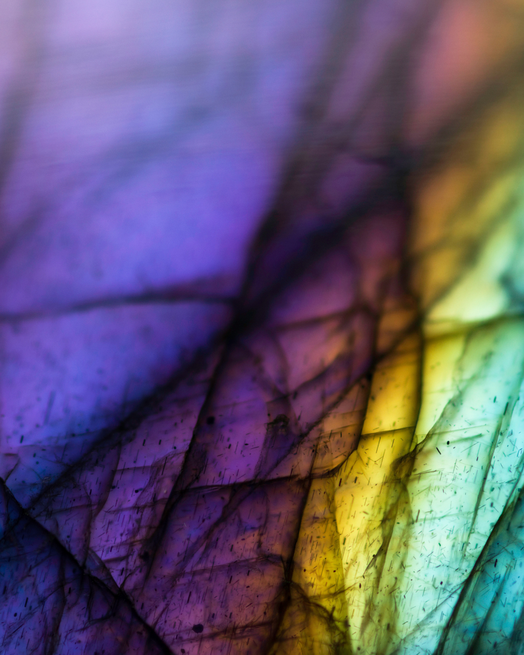 The Art of Transformation: Neurographic Art &amp; Self-Discovery with Uyen Nguyen 