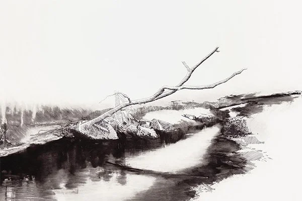 Winter Intro Drawing – Foundation and Landscapes with William Demaria - 4 Sessions