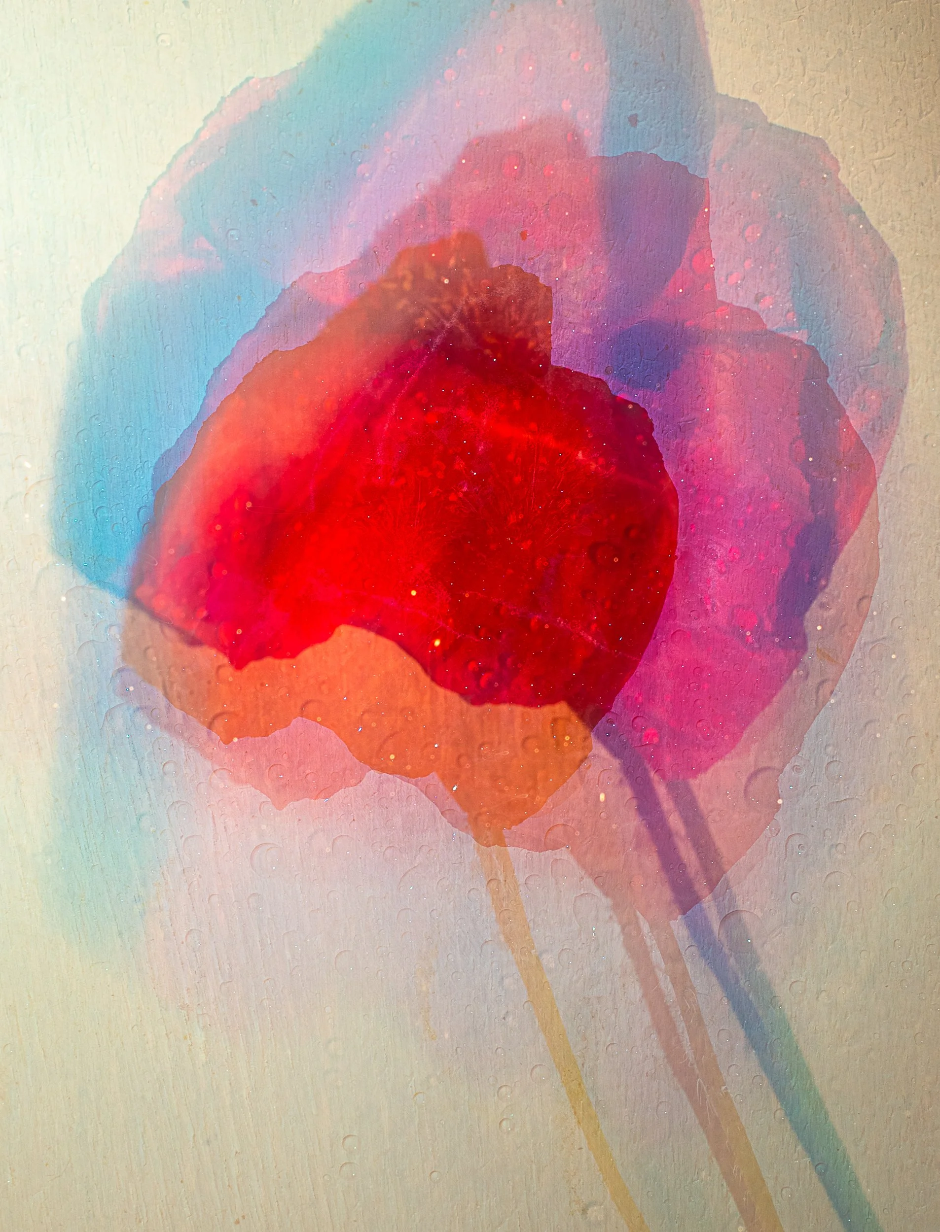 Echoes of a Fading Memory