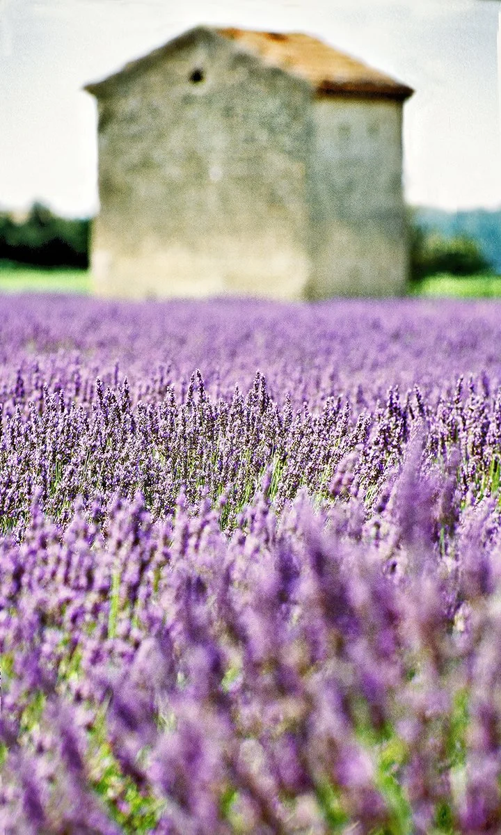 The Luberon Valley
