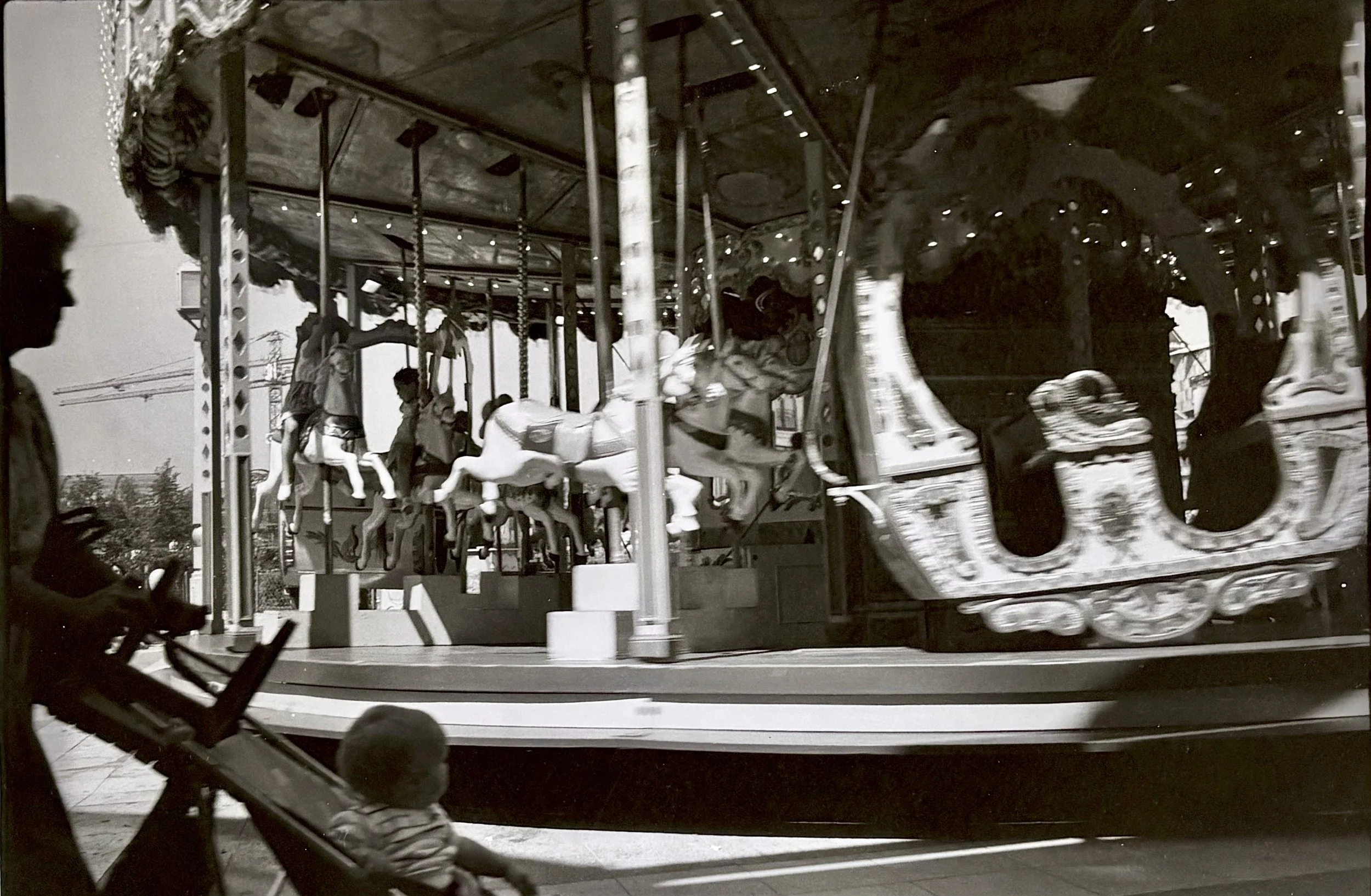 Cameron,Donna_Le Carrousel des Champs. jpeg.jpg