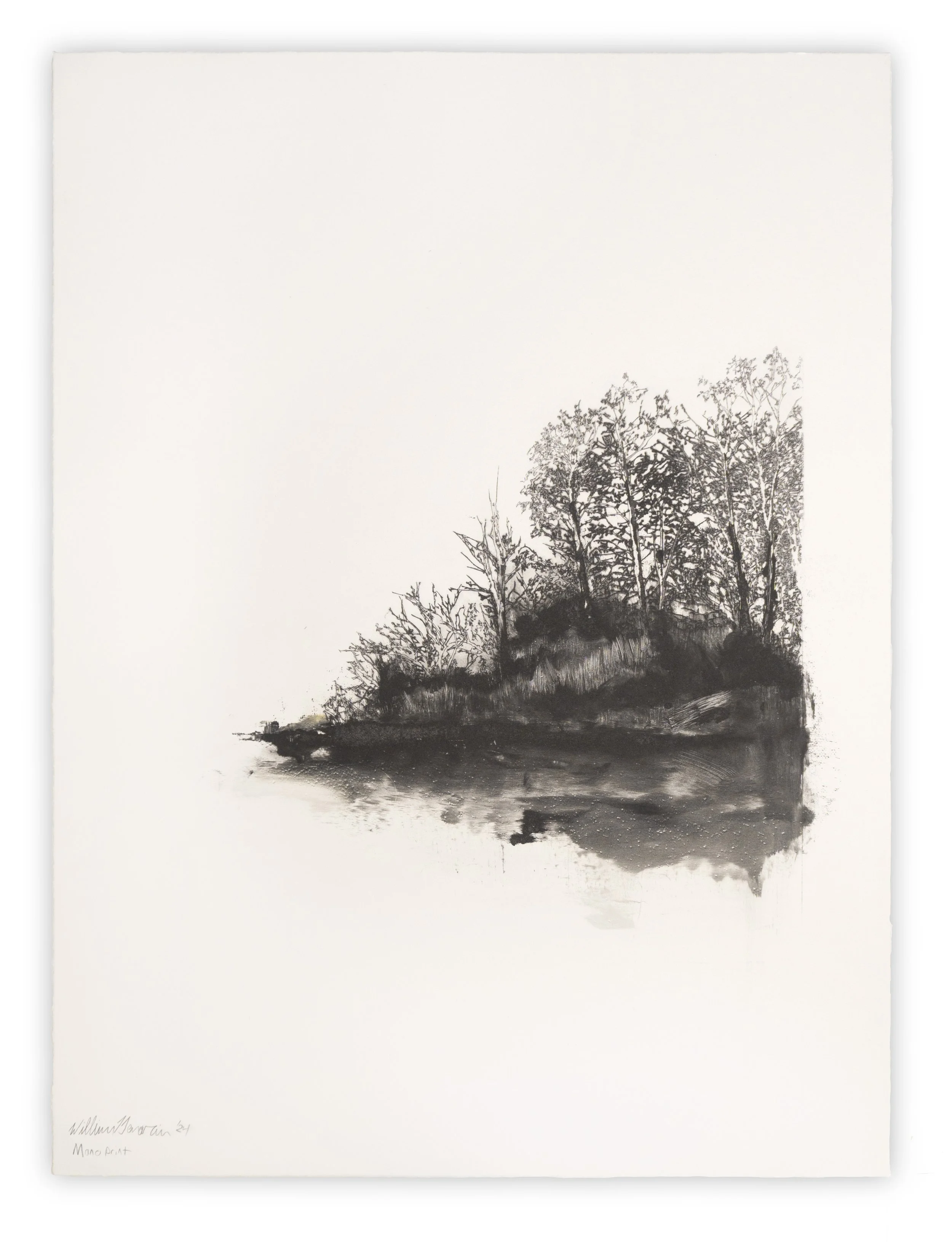 DemariaWilliam_Untitled(XixiWetlands).jpg