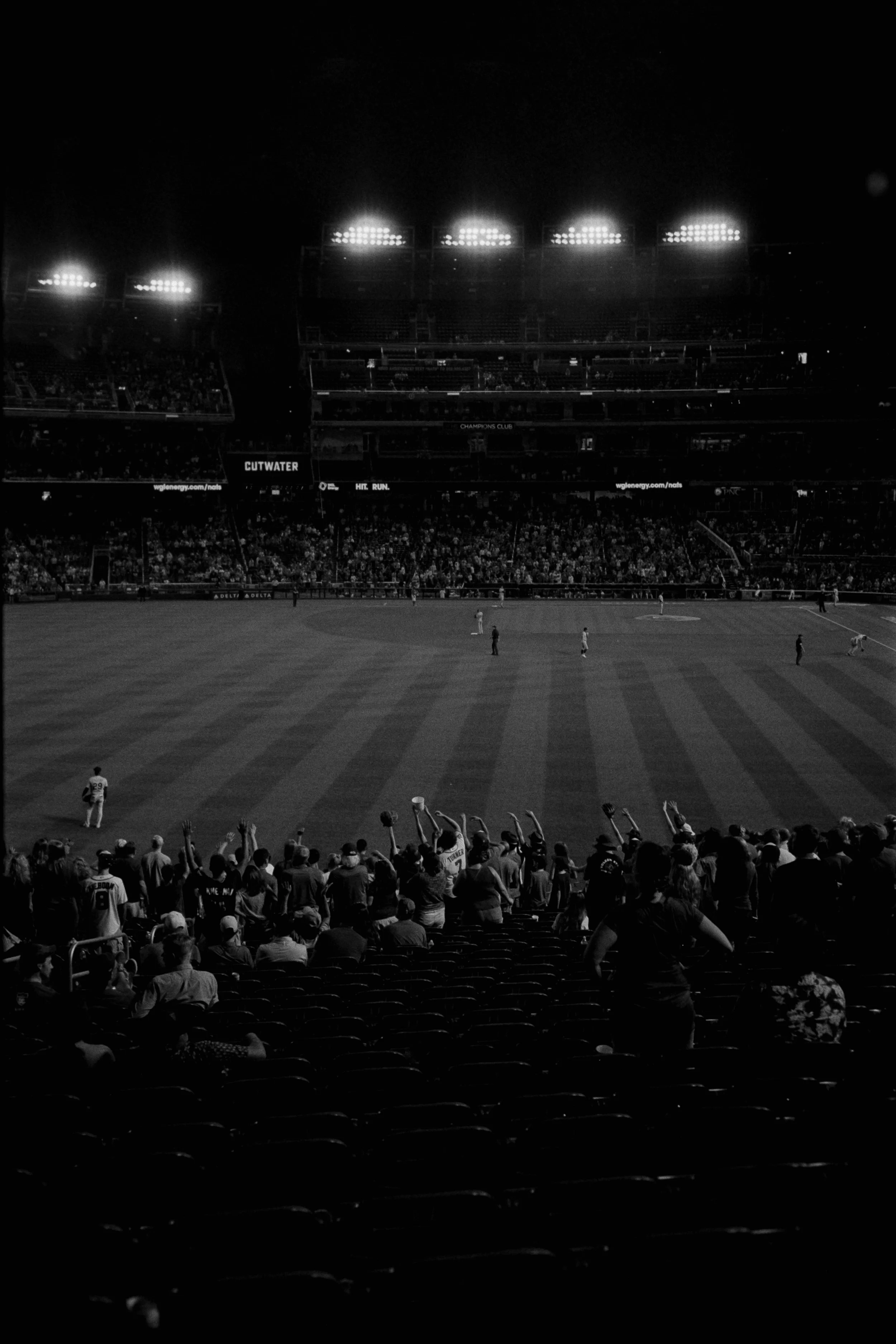 HochbergDoug Baseball at Night.jpg