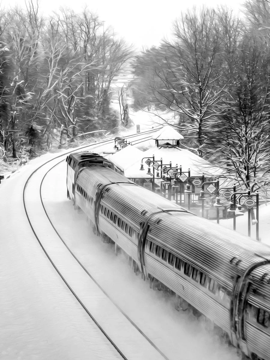 Clara Y Kim_Winter Express.jpg