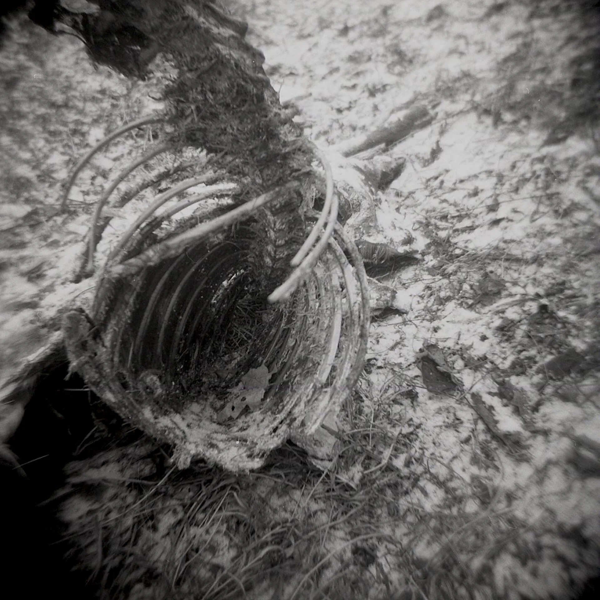 Remains 7/8