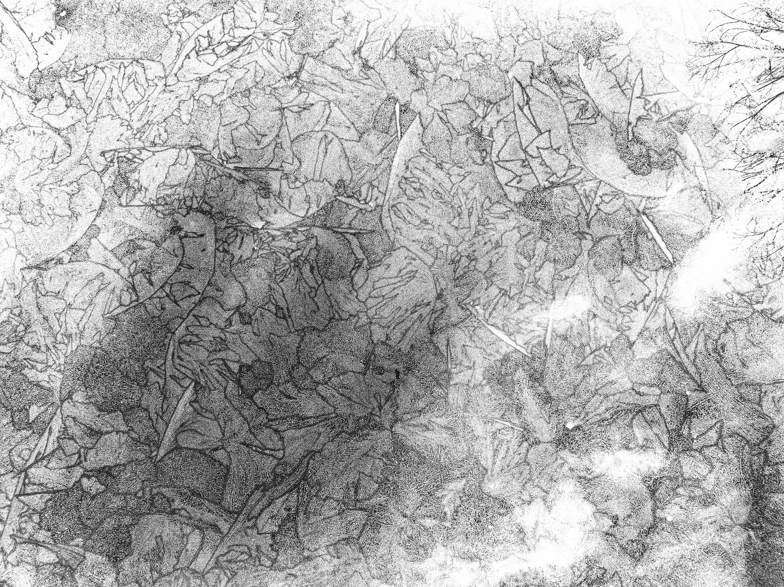 WrightClaire_Etching.jpg
