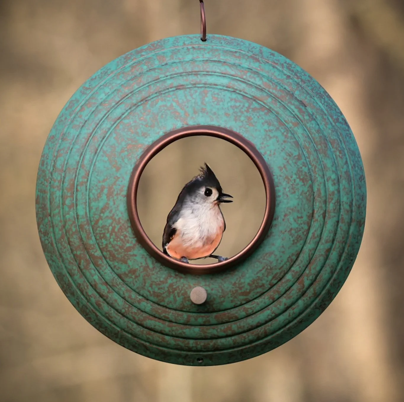 Titmouse