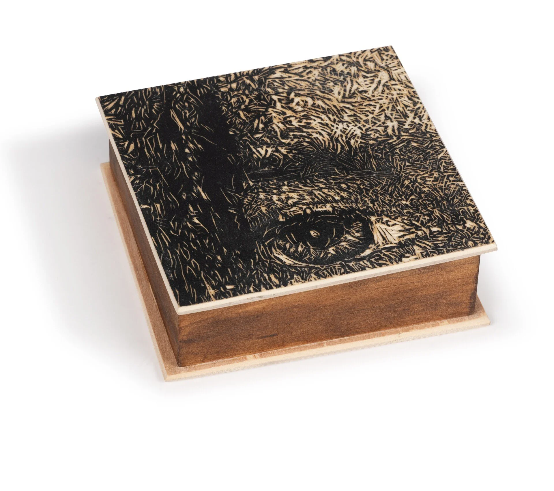 Box 3, Cymru Eye