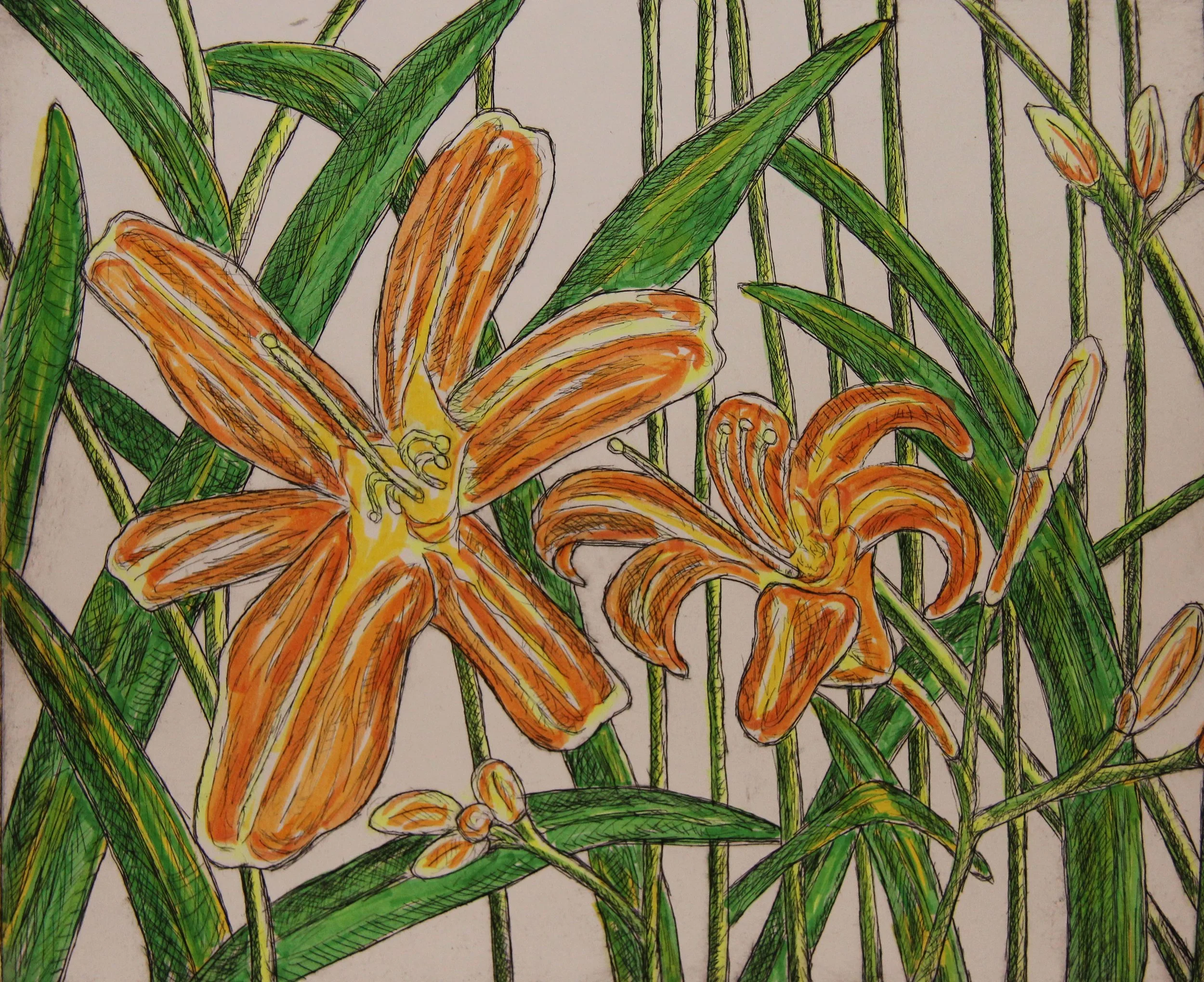 Day Lily