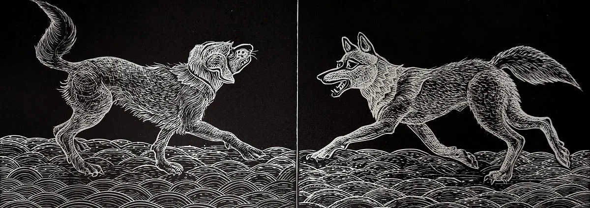 Golden Retriever and Gray Wolf