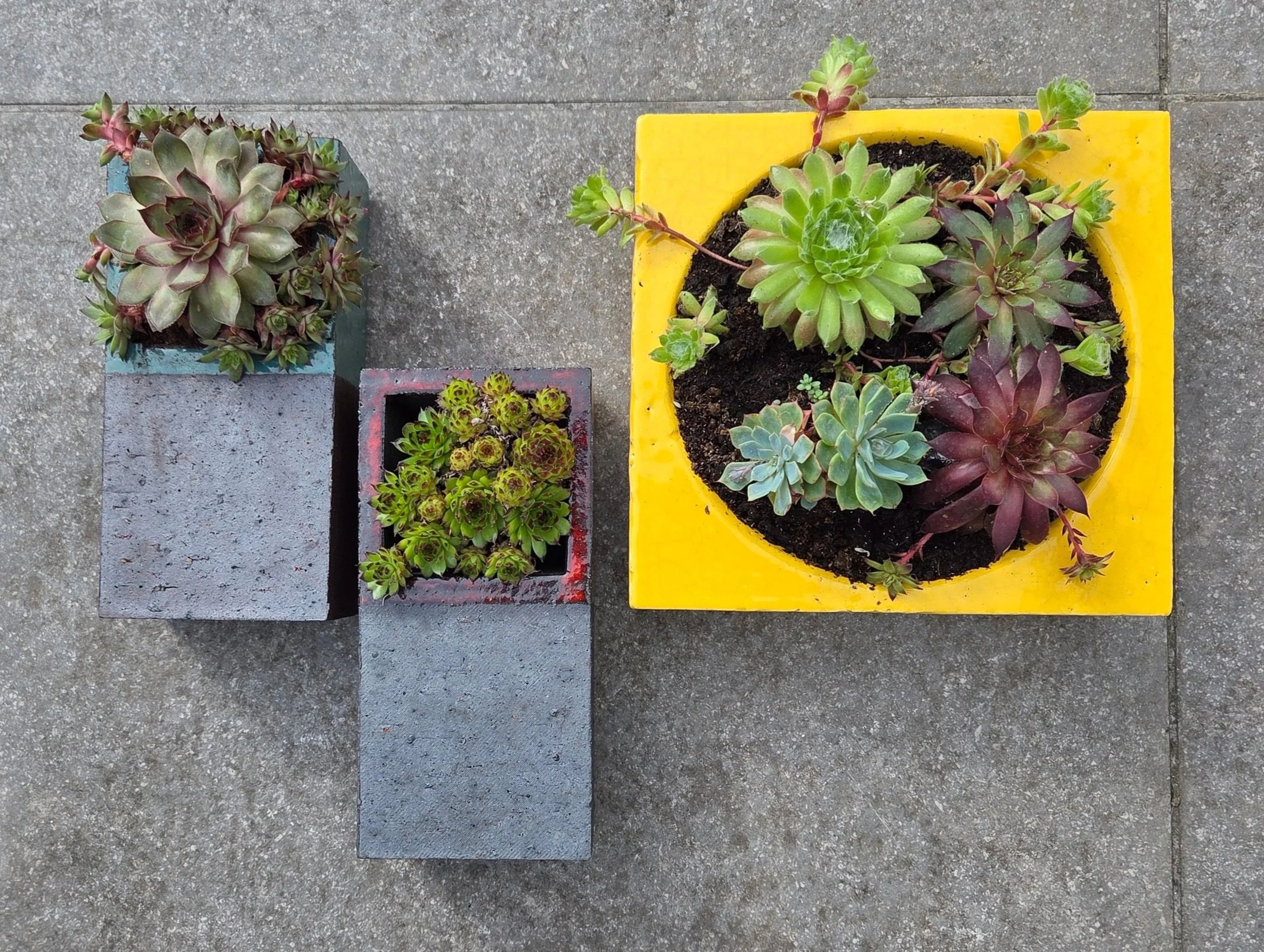 Viridis Planters