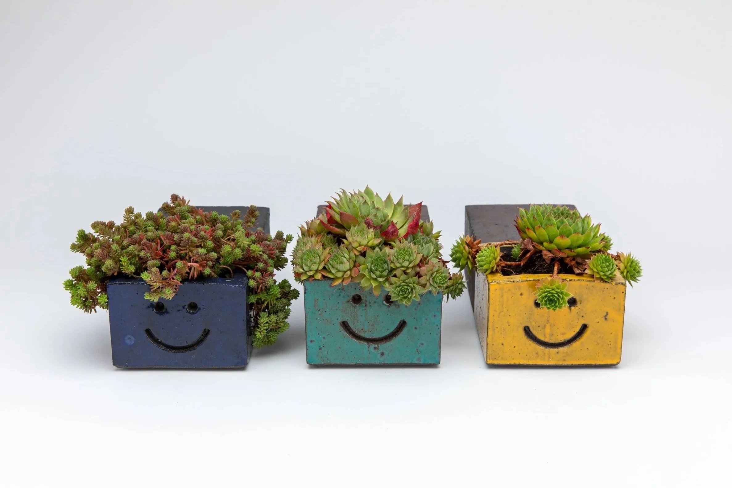 Viridis Planters
