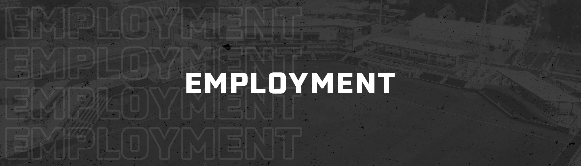 Employment — Gastonia Baseball Club