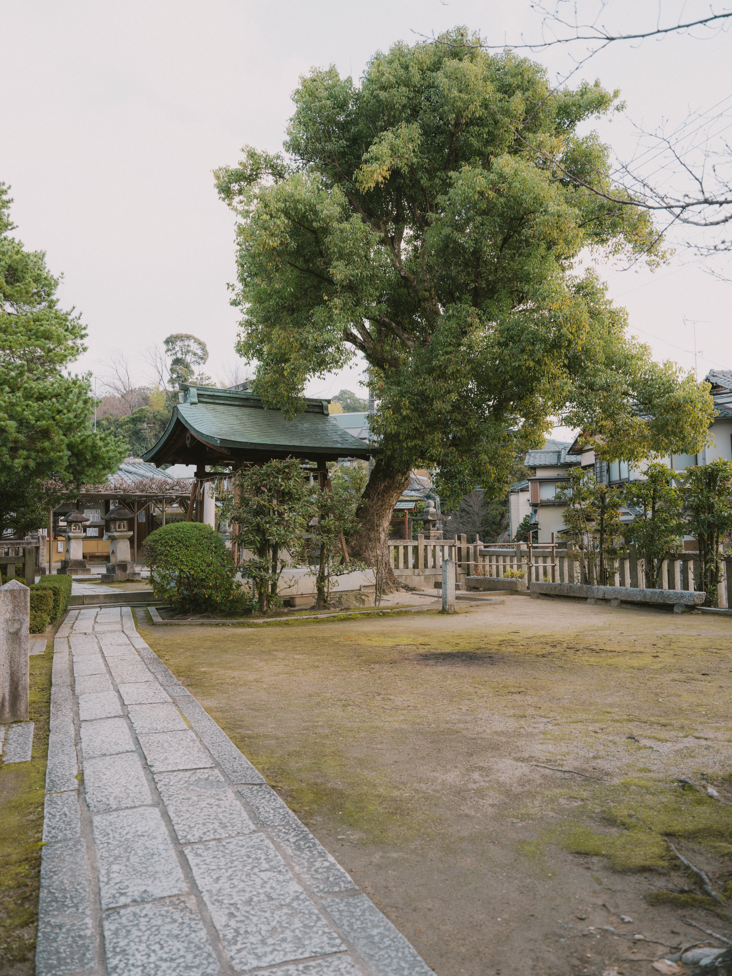 DSCF6632.jpg
