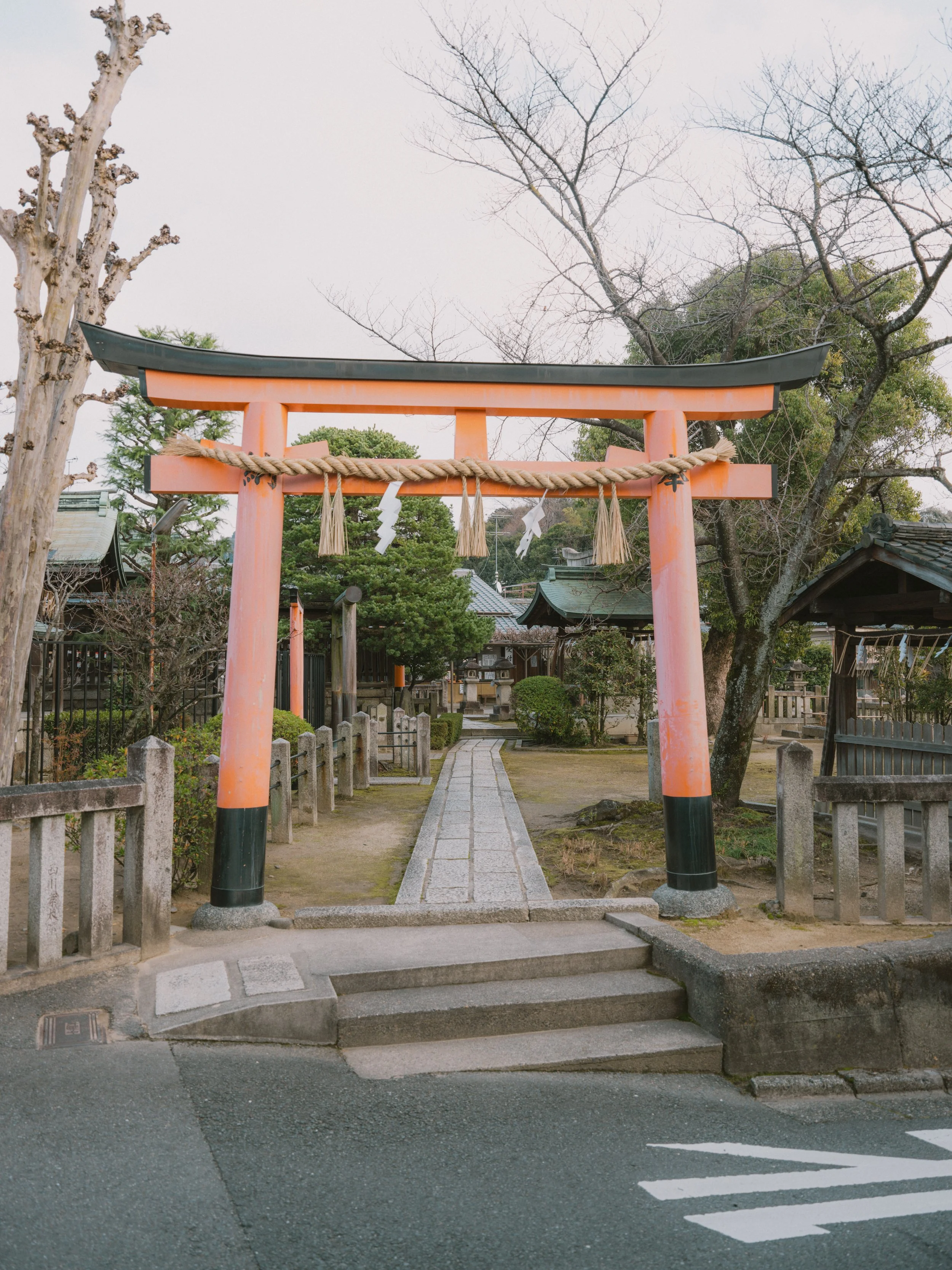 DSCF6631.jpg