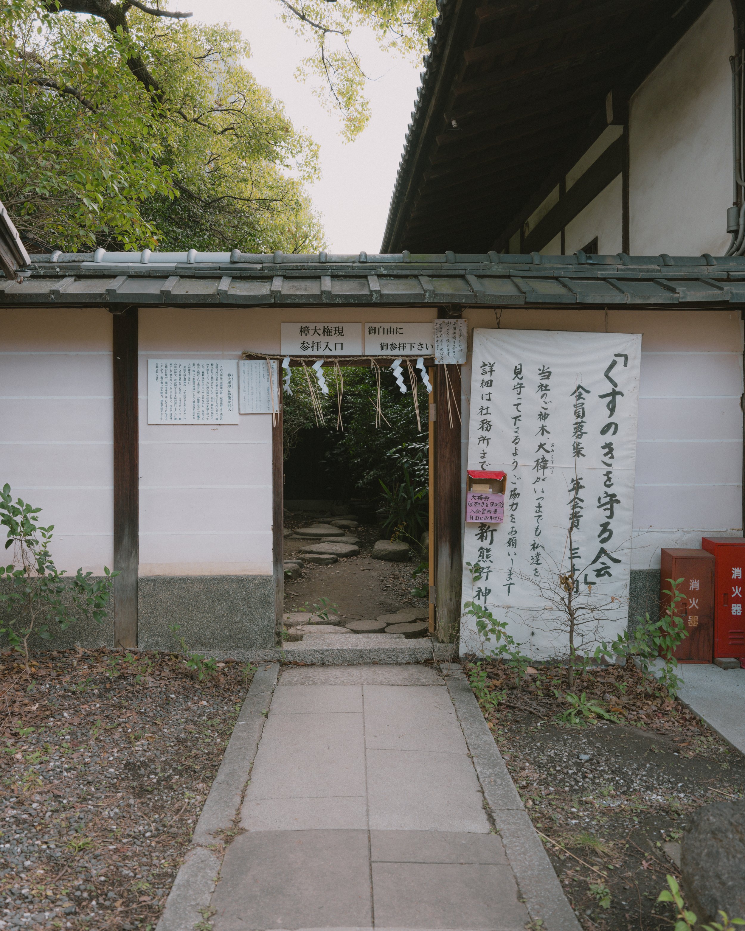 DSCF6637.jpg