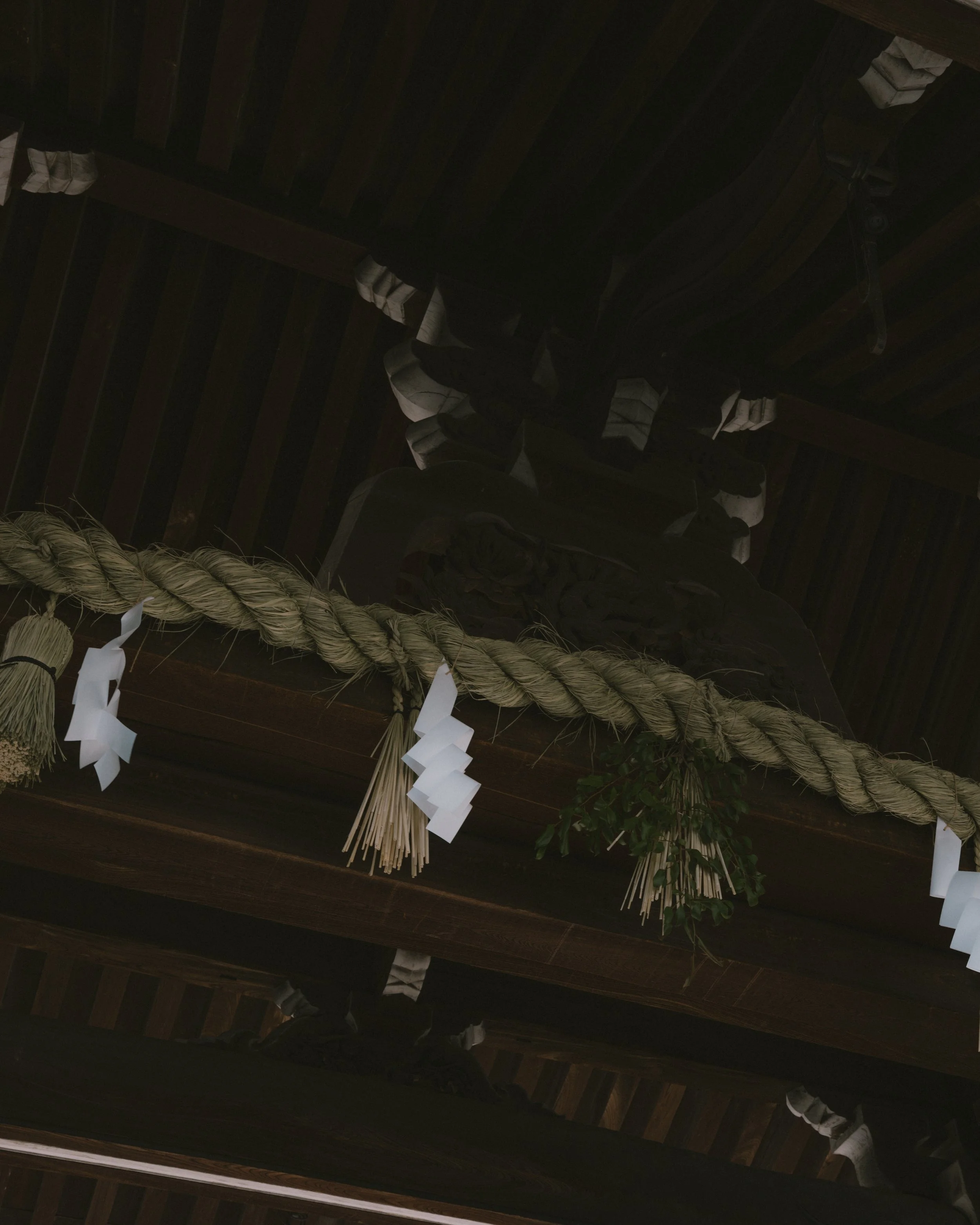 DSCF6816.jpg