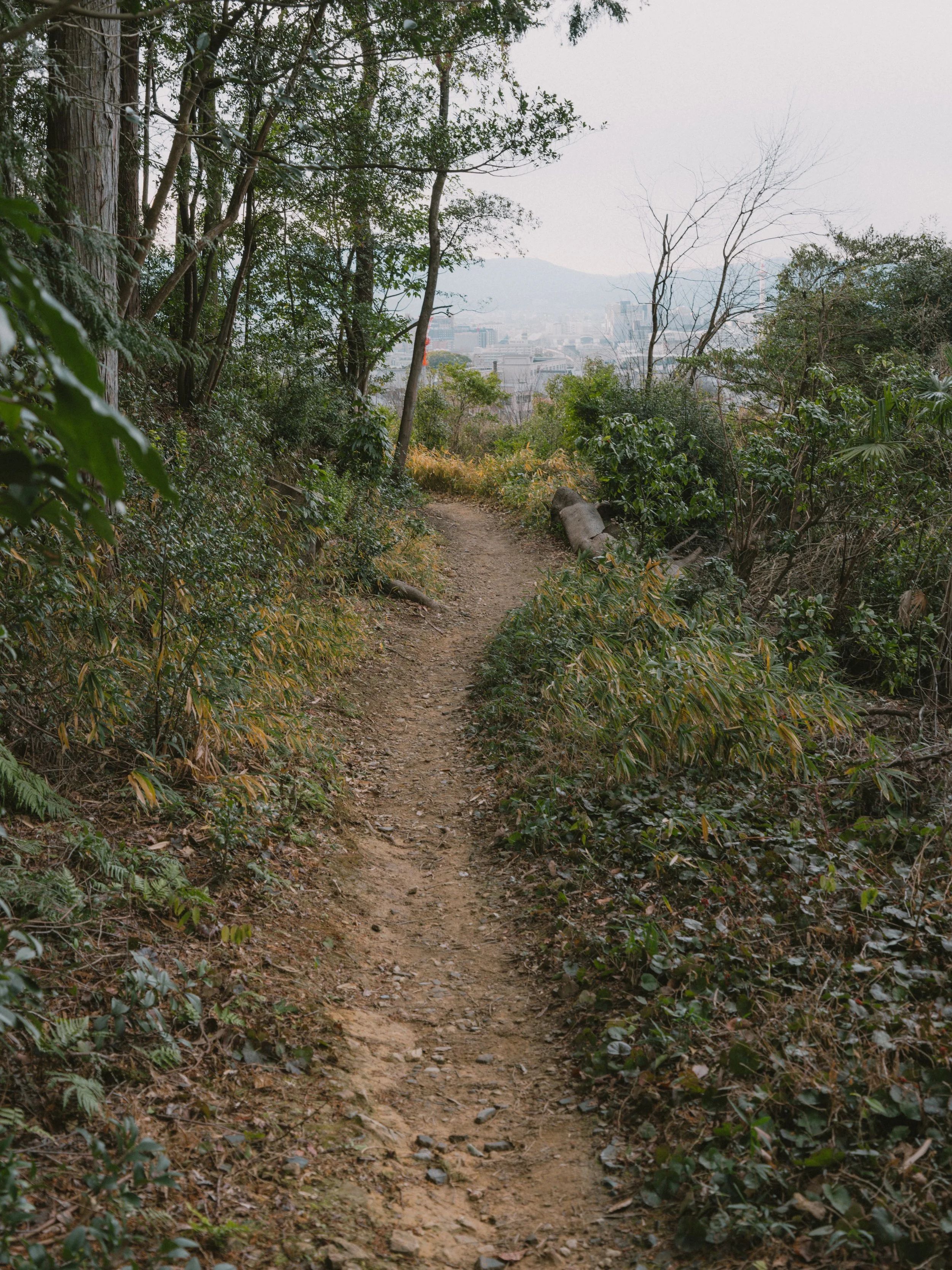 DSCF7220.jpg