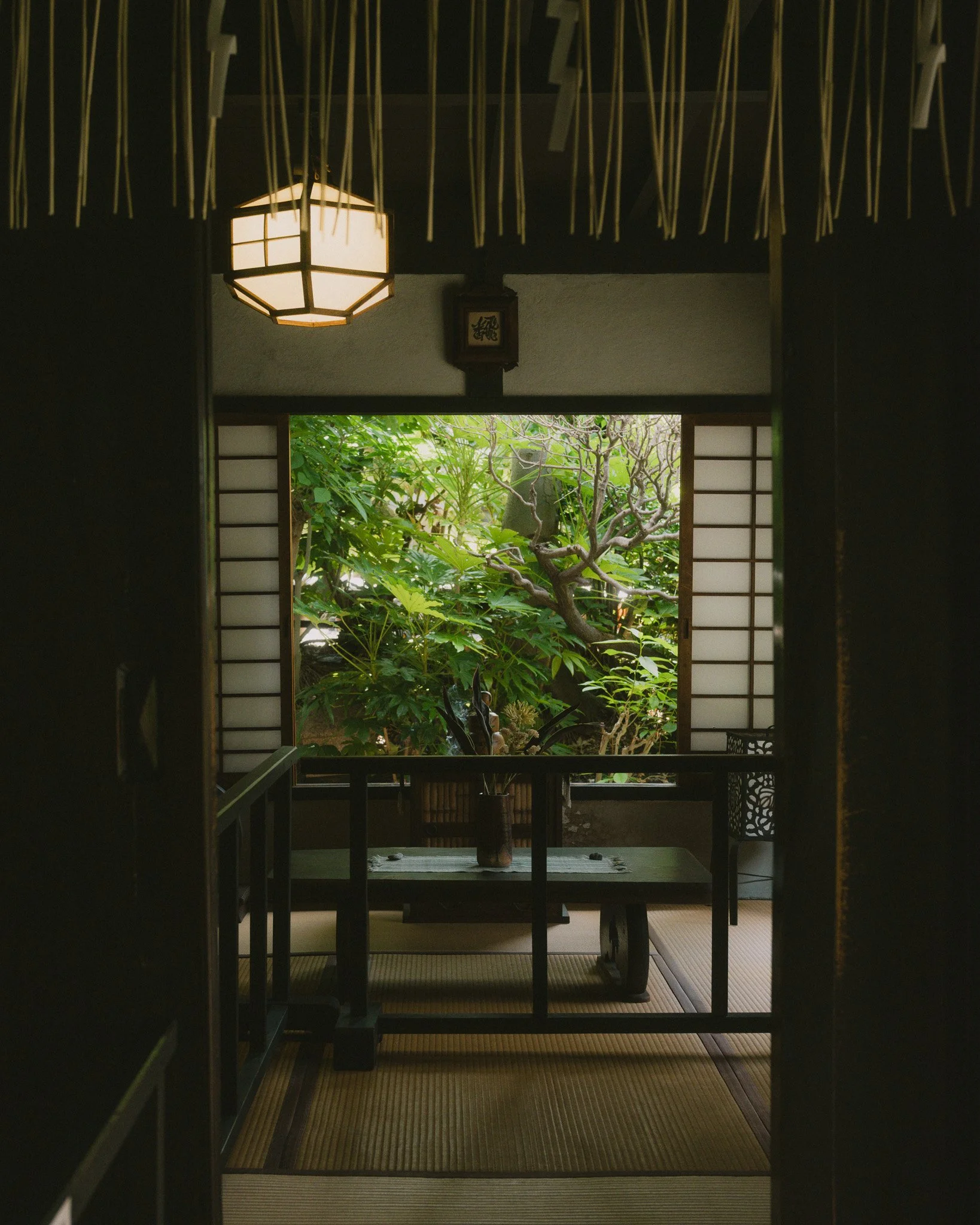 DSCF1796.jpg