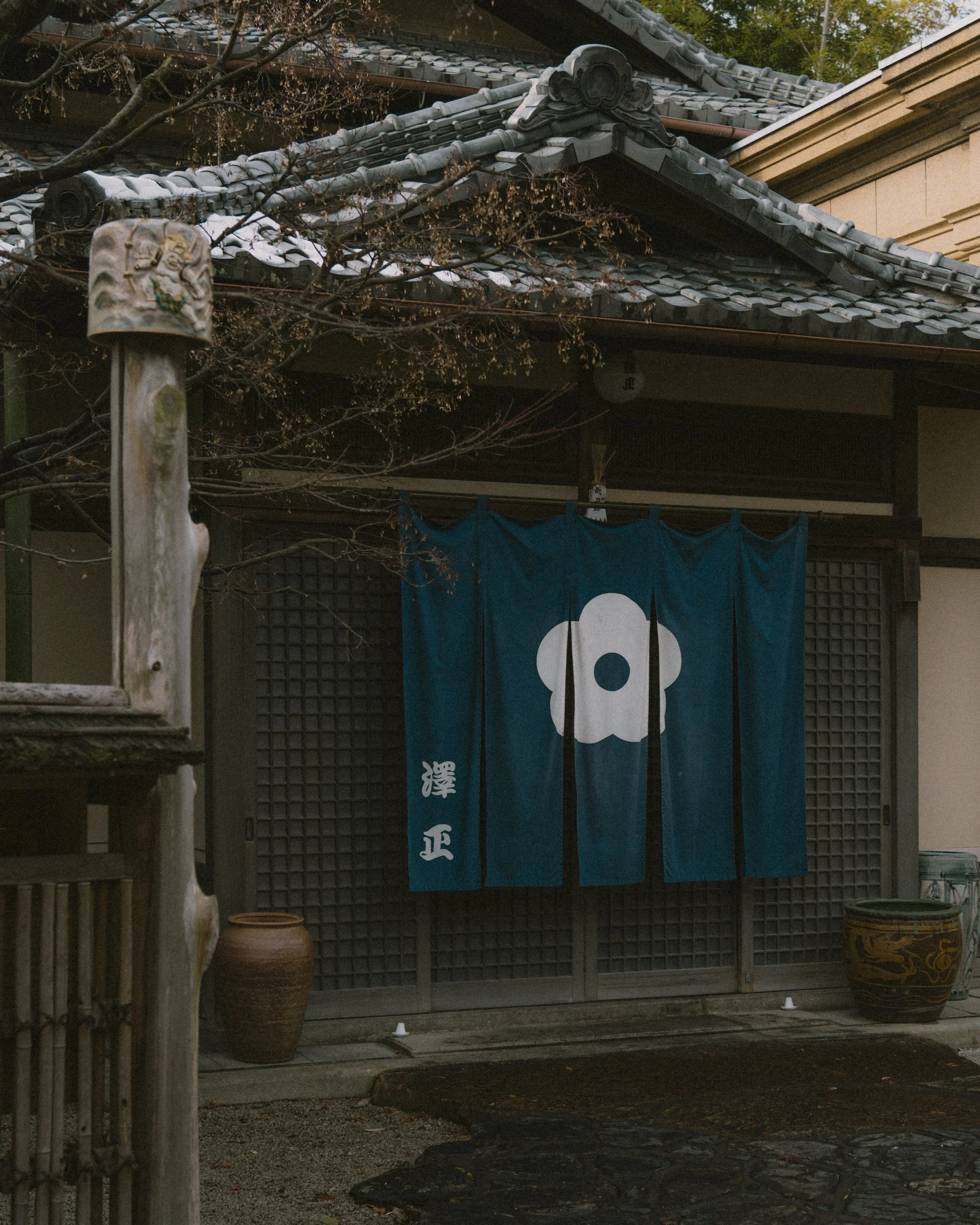 DSC04841.jpg