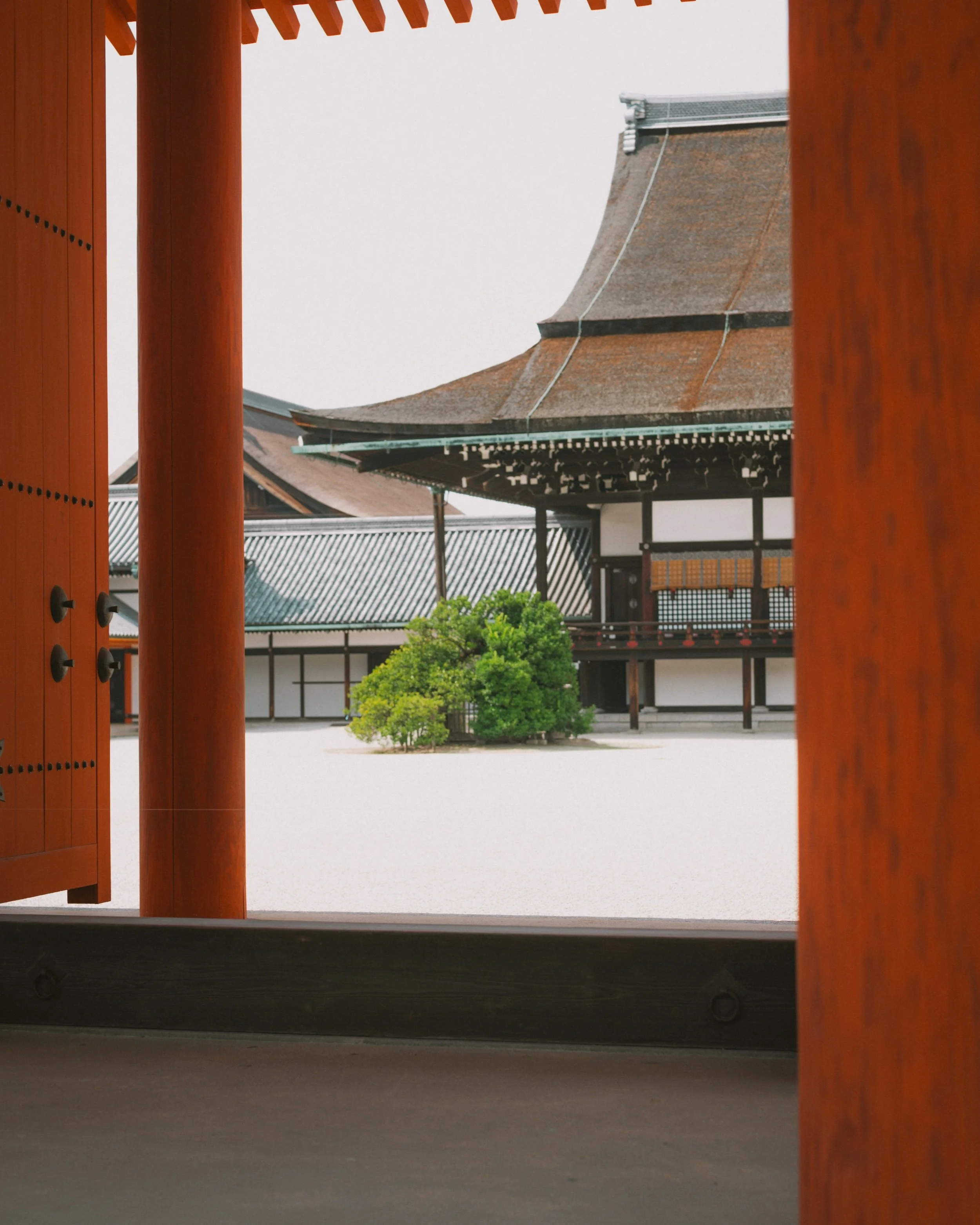 _DSF0824.jpg