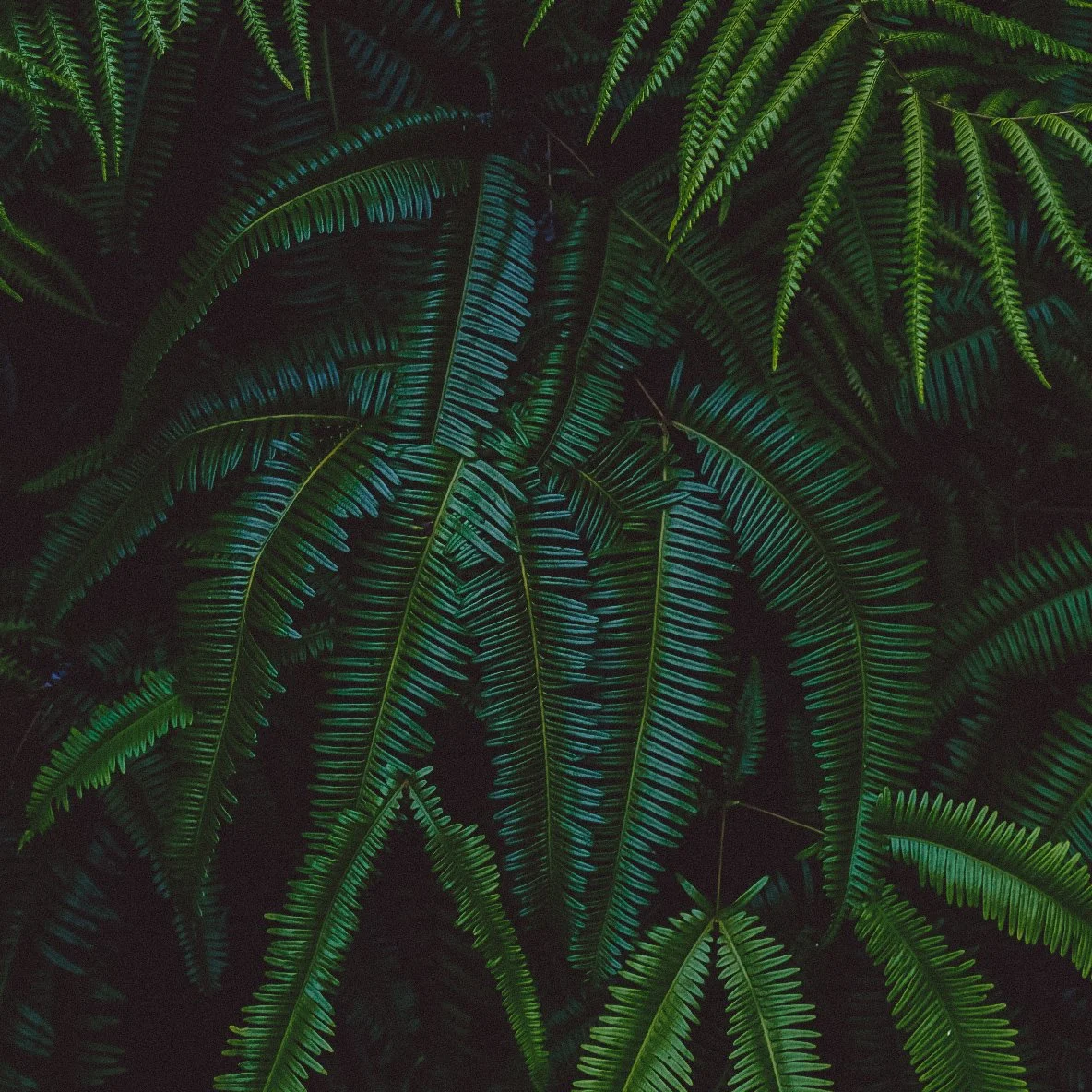 20191022_232639.JPG