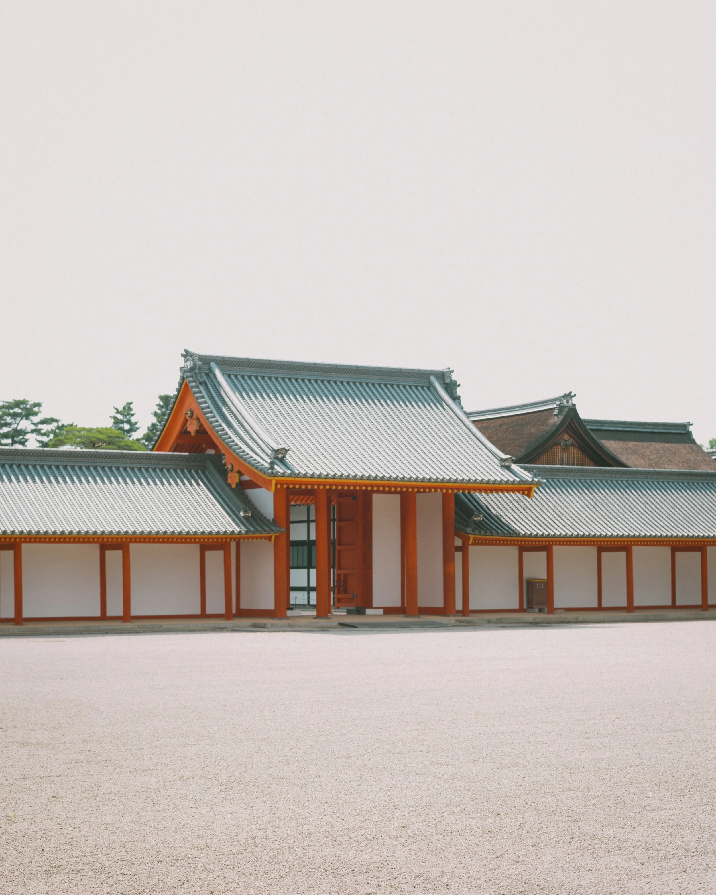 _DSF0825.jpg
