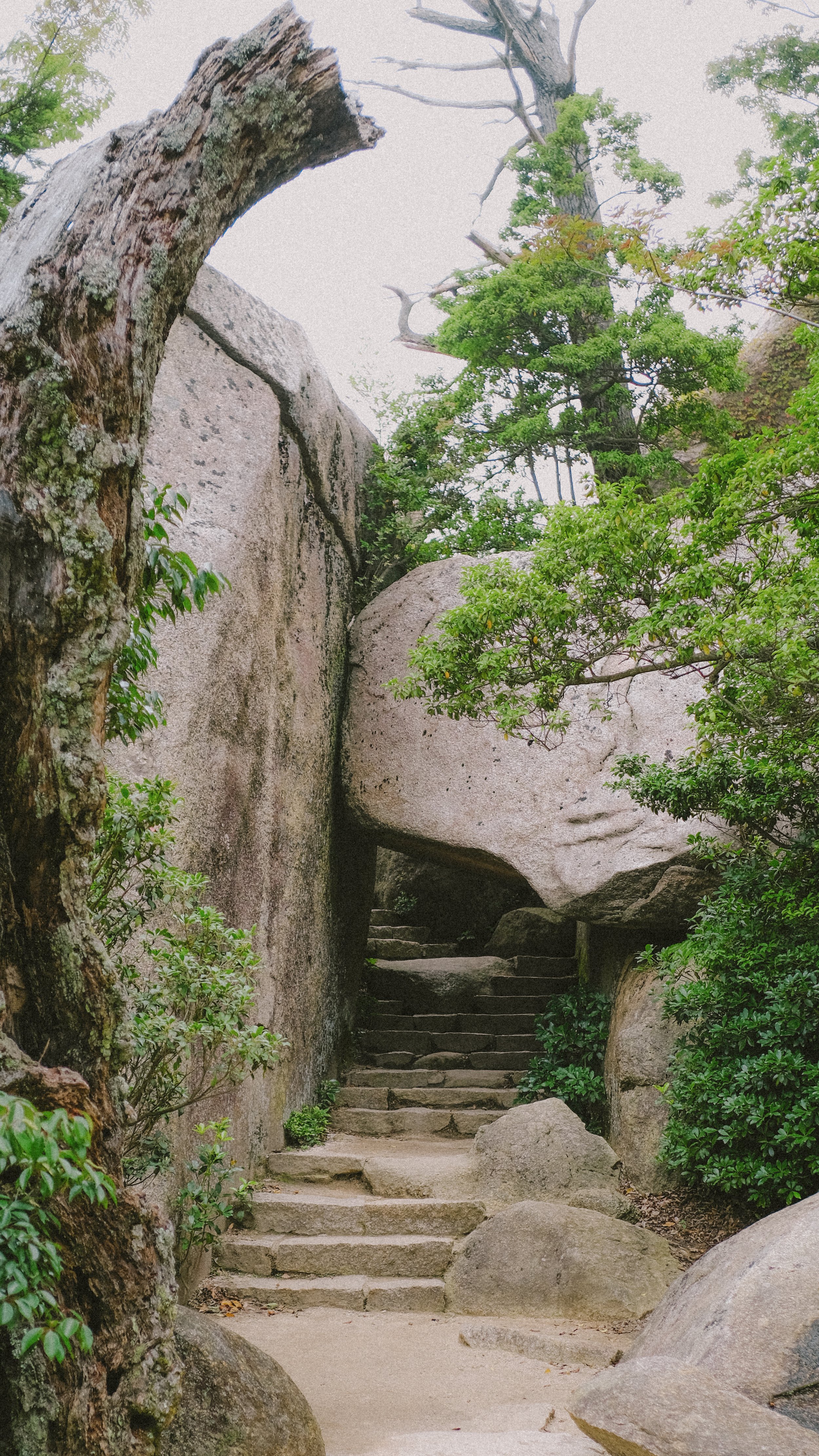 DSCF7125.JPG