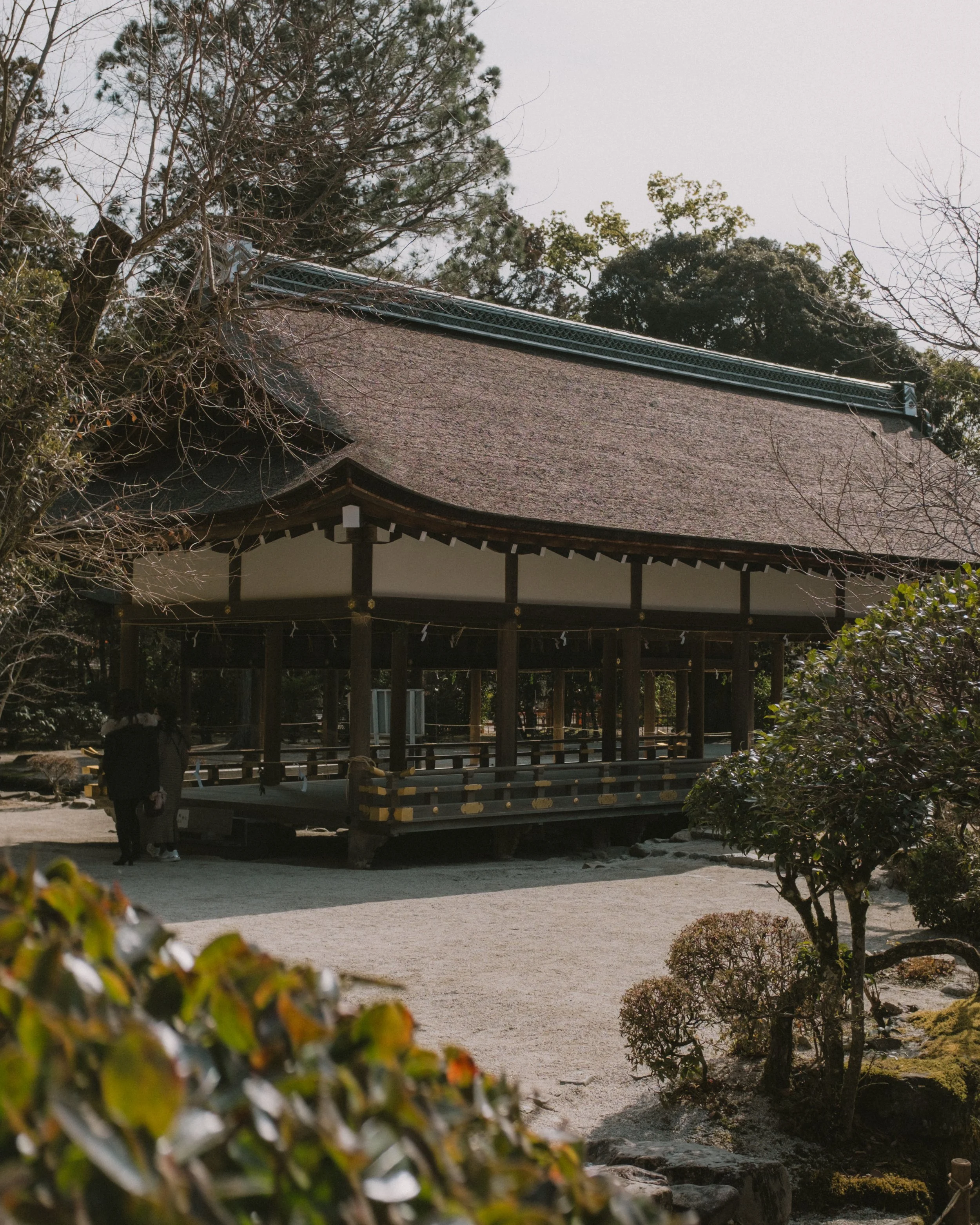 DSCF0351.jpg
