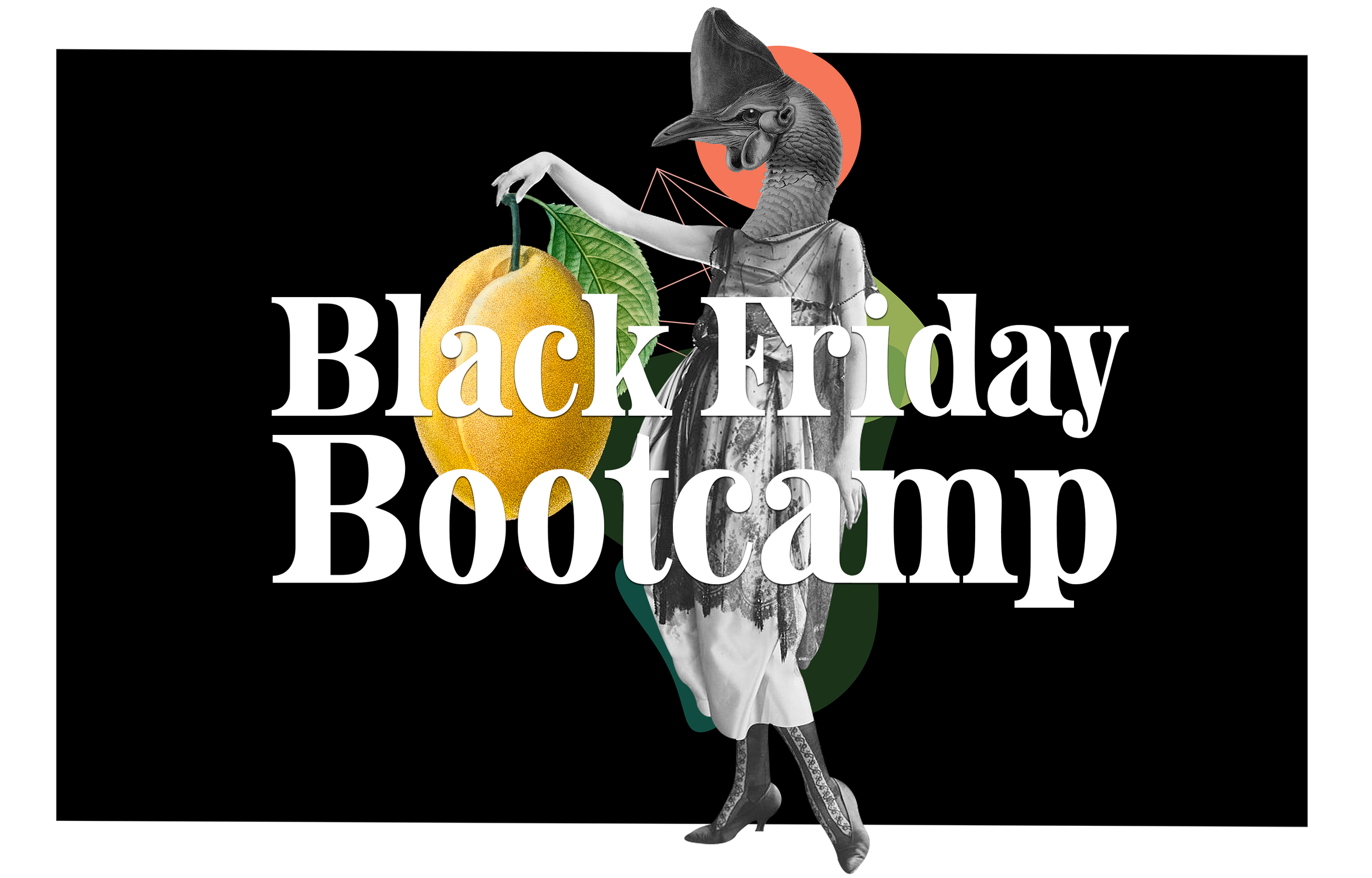 Black Friday Bootcamp