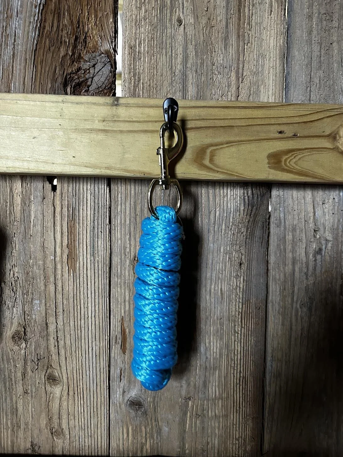 Blue lead rope