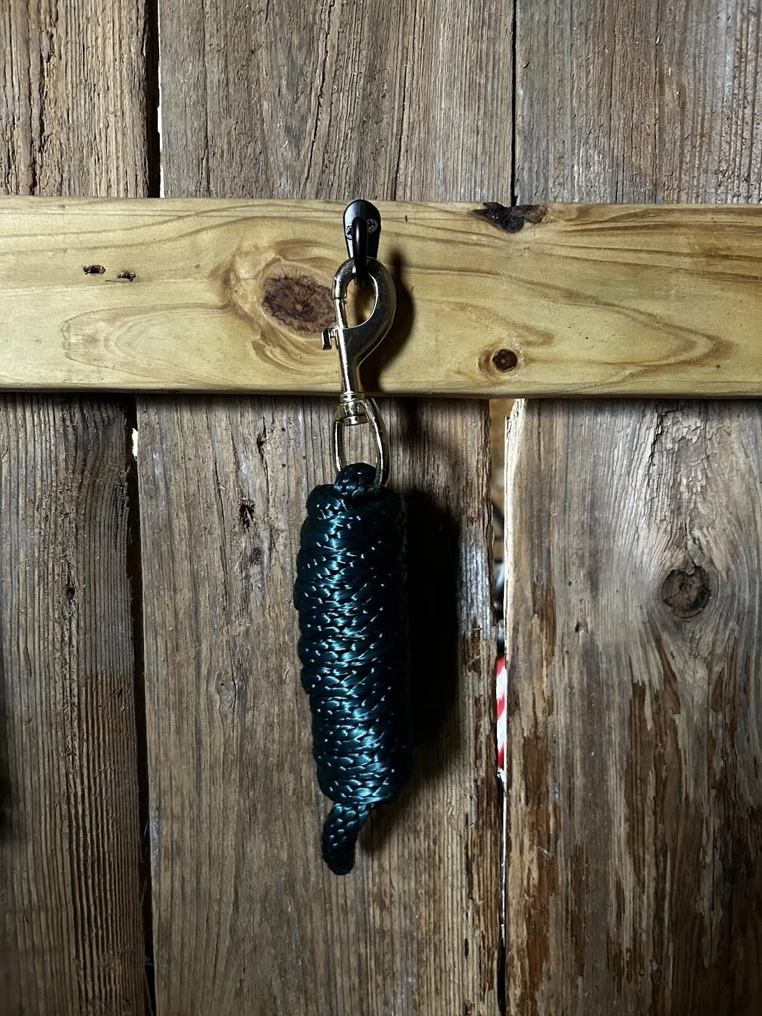 Hunter green lead rope