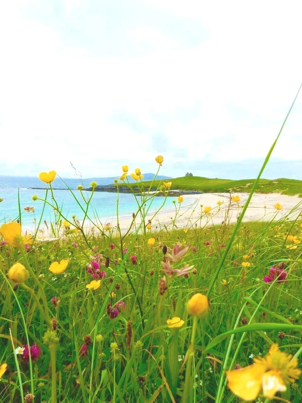 Sea View House Harris is a Dog friendly luxury Isle of Harris holiday cottage next to the sea, close to Luskentyre beach, Scarista beach, Northton beach, Hushinish beach, the Isle of Harris Brewery, Distillery and St. Kilda Boats