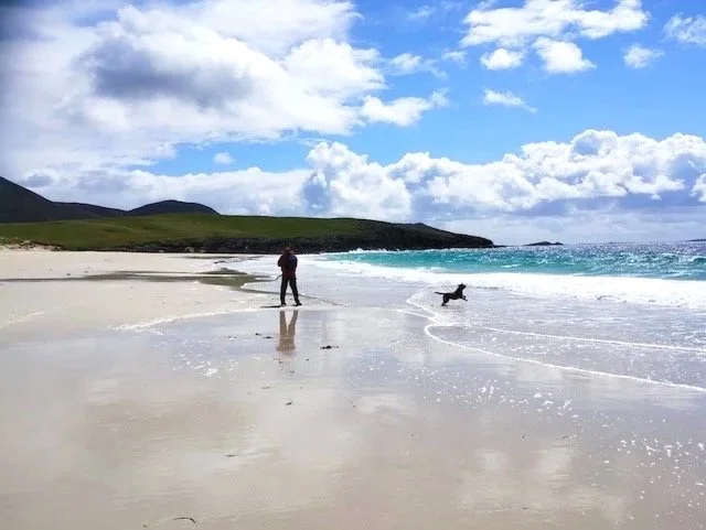 Sea View House is a dog friendly luxury Harris holiday cottage close to Luskentyre beach, Scarista beach, Northton beach and Hushinish beach plus boats trips to St. Kilda, the Harris Brewery and Distillery. 