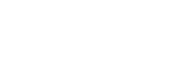 Business Technology Professionals