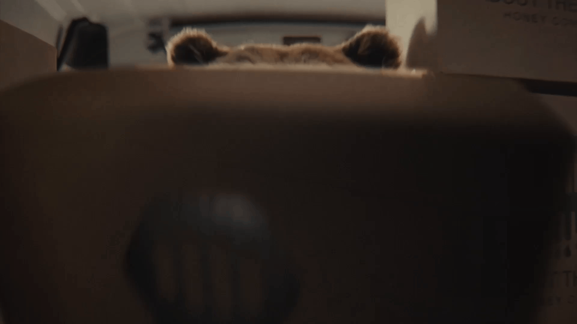 GM Fleet: Unpredictable