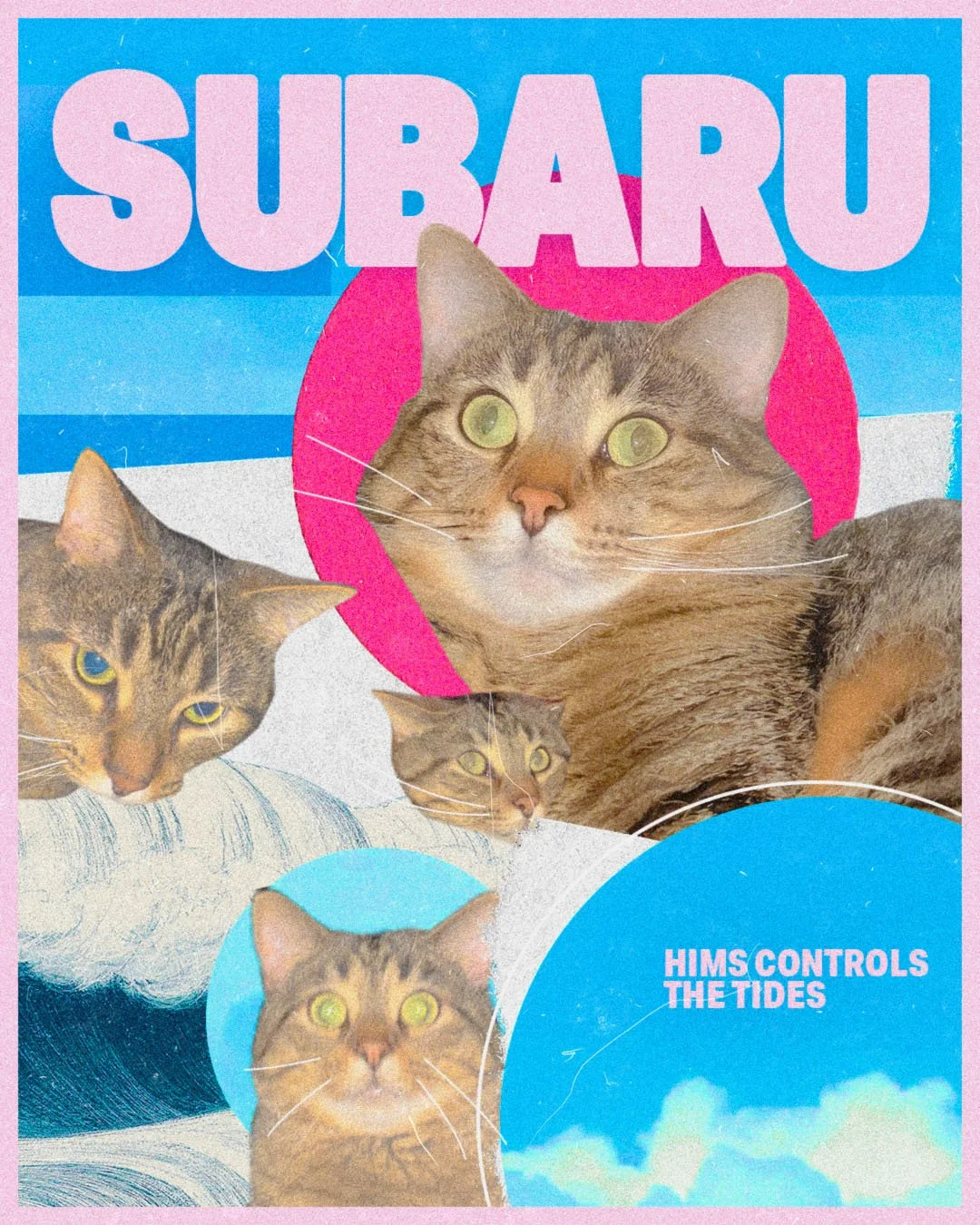 Subaru_3_555.jpg
