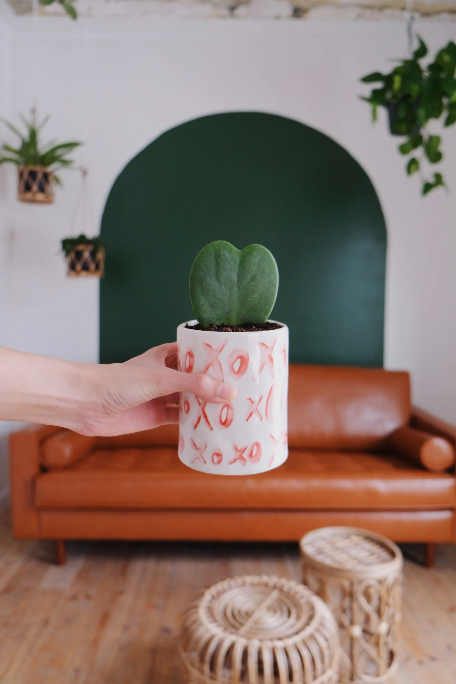 A person holding a white ceramic pot decorated with red 'X' and 'O' patterns, containing a green potted plant, in a cozy living room with a brown leather couch and green wall accent.