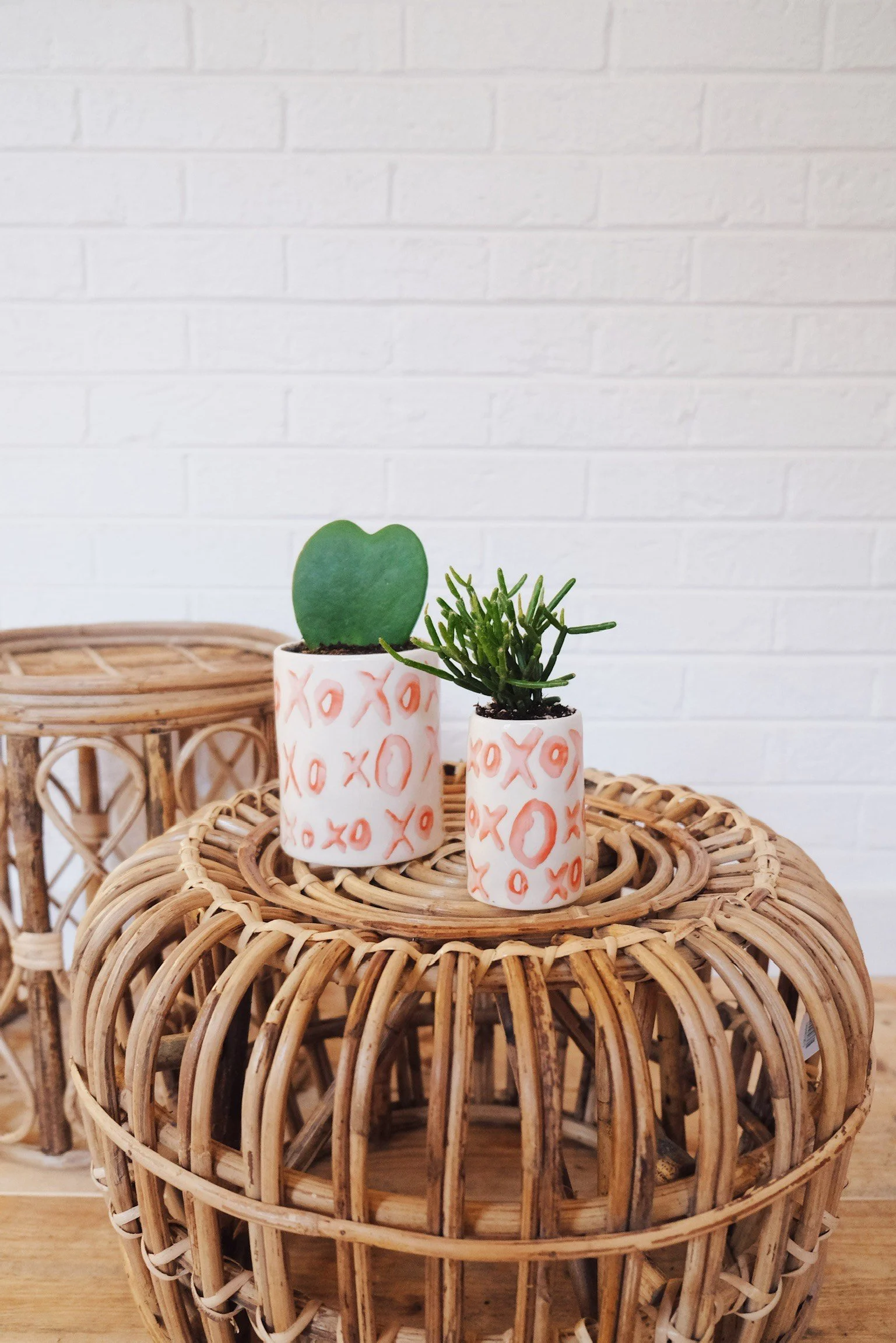 Two small potted succulents, one with a green heart-shaped leaf, in white pots with pink 'X's and 'O's, placed on a woven wicker table against a white brick wall.