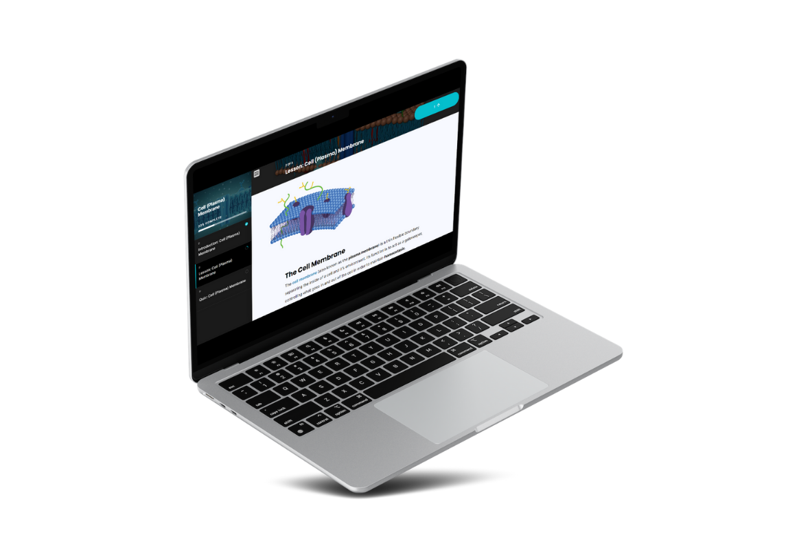 Instructional Designs